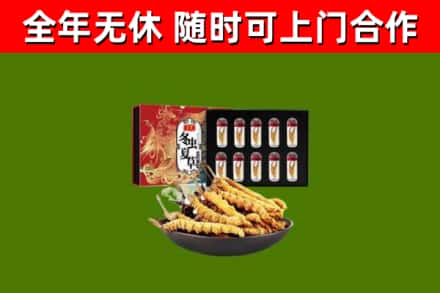 资阳回收冬虫夏草价格