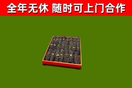 资阳回收海参